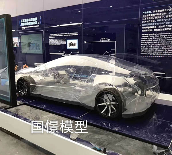 陆良县透明车模型